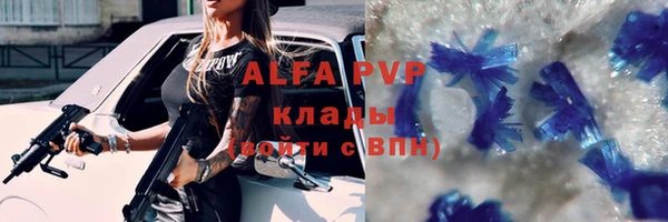 соль ск Новодвинск
