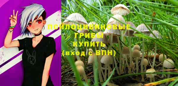 бошки Новозыбков