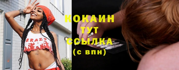 гидра Нея