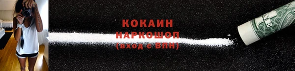 бошки Новозыбков