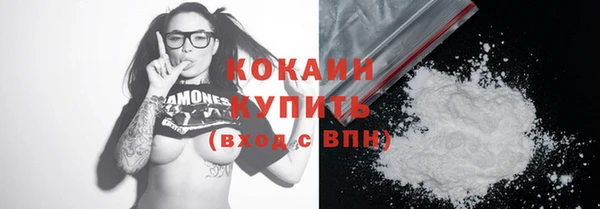 соль ск Новодвинск
