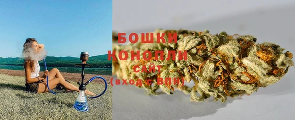 соль ск Новодвинск