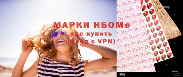соль ск Новодвинск