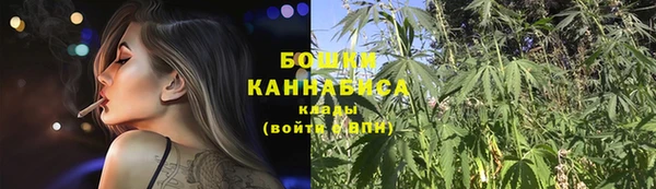 бошки Новозыбков