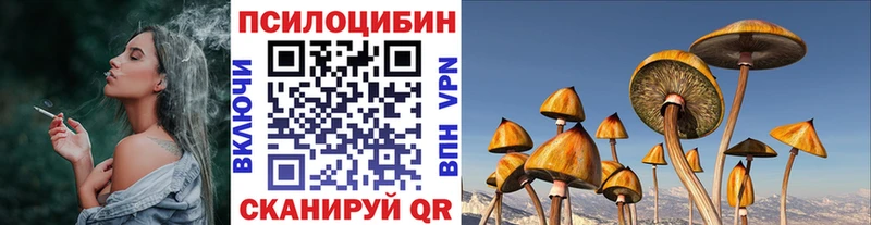 Купить  Рыльск  Псилоцибиновые грибы Cubensis 